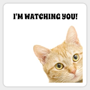 I'm Watching You - Cat Saw That Funny Meme. Sticker